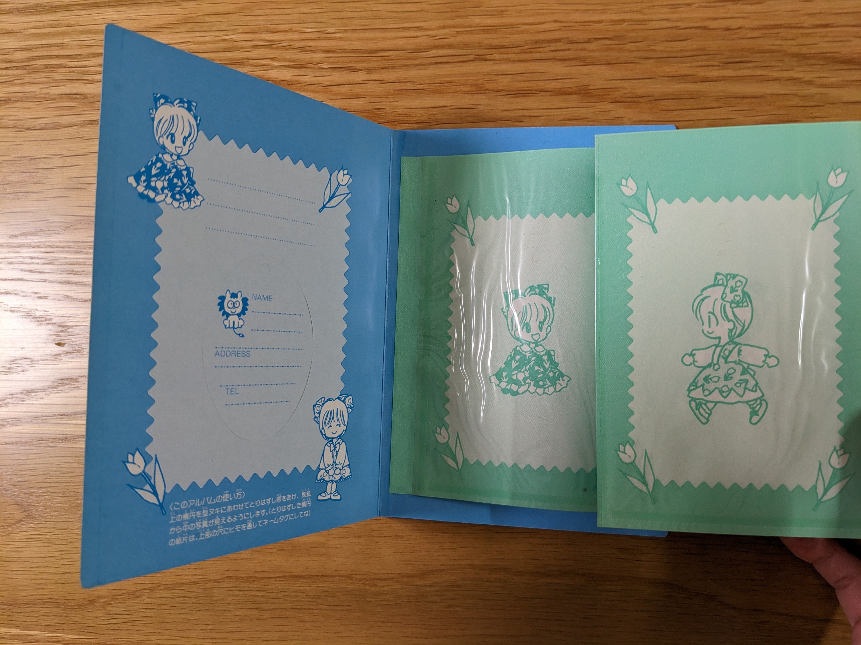Megumi Ribbon Megumi Mizusawa Hime-chan No Ribbon Album Set, 90s Ribon Furoku - Etsy