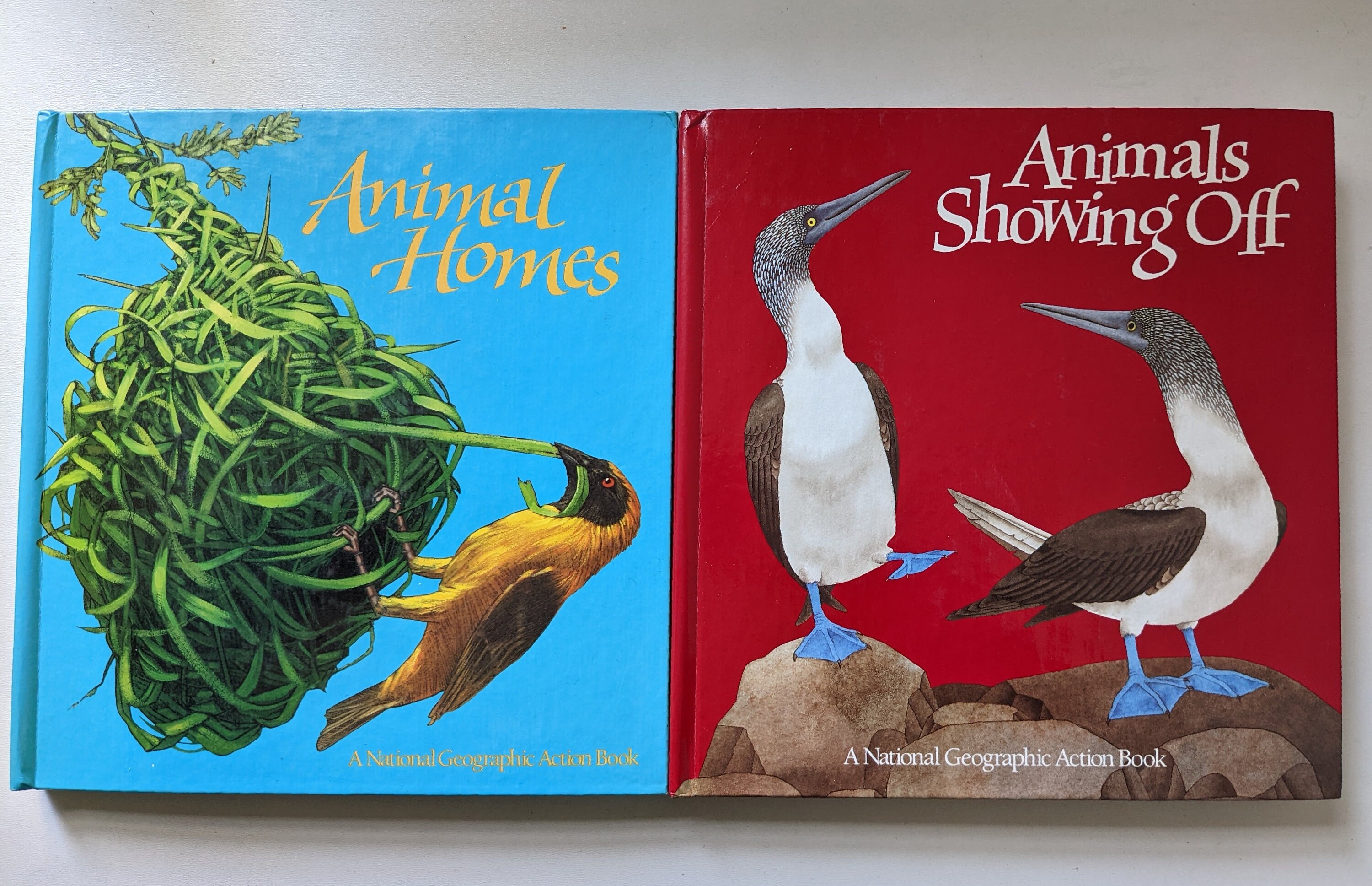 National Geographic Action Book Animals Showing Off Animal - Etsy UK National Geographic Action Book Animals Showing Off Animal - Etsy UK