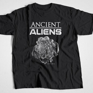 Antiguos extraterrestres - Romanesco