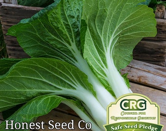 2500 FREE SHIPPING! BABY PAK CHOI Bok Choy Chinese Cabbage Seeds USA Seller! 2500 FREE SHIPPING! BABY PAK CHOI Bok Choy Chinese Cabbage Seeds USA Seller!