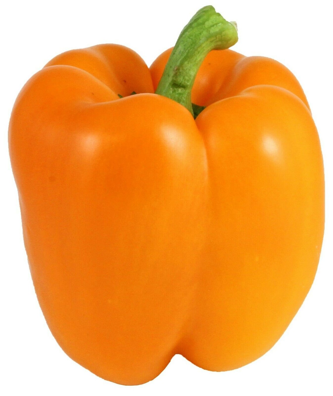 200 california wonder bell pepper seeds orange nongmo Etsy