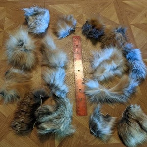 Tanned Coyote/Fox Pieces