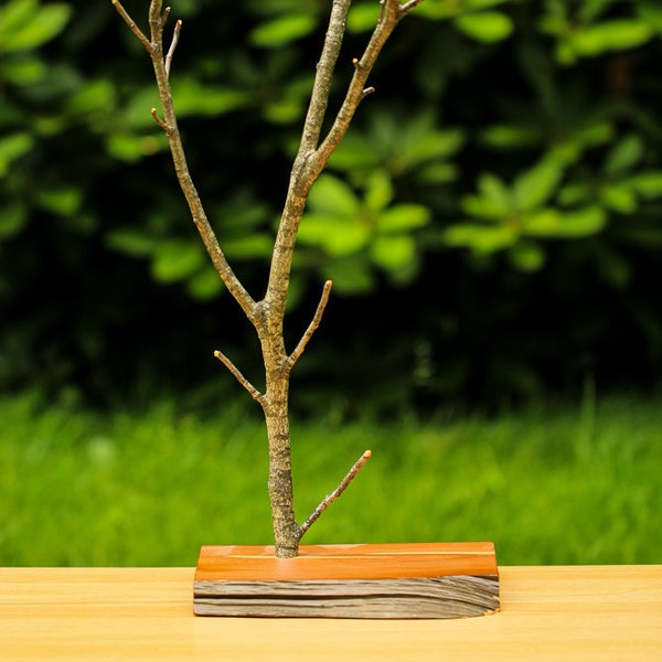 Jewelry Tree, Tree Branch Jewelry Stand, Rustic Wooden Necklace and Bracelet Holder, Tree Branch Jewelry Display,  Unique Jewelry Displays