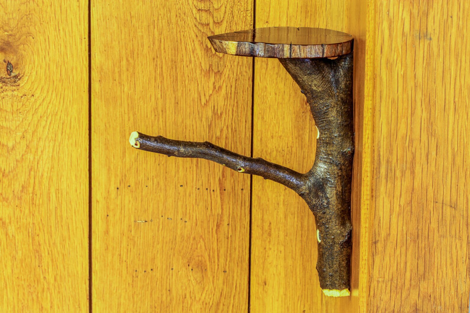 Rustic Wooden Toilet Paper Holder Shelf Tree Branch Toilet Etsy