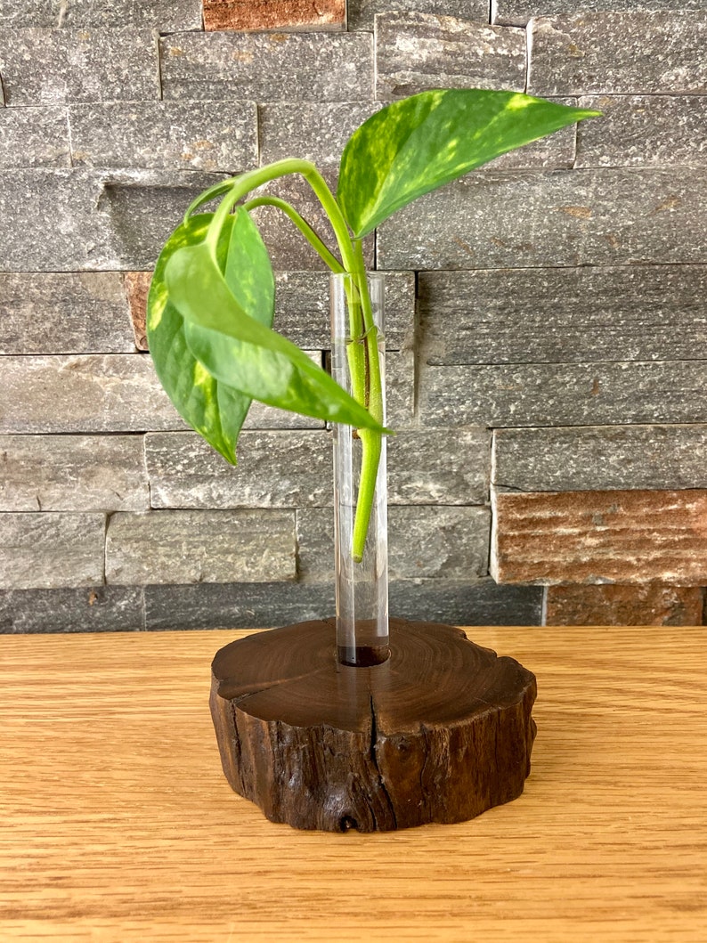 Driftwood Test Tube Bud Vase Rustic Log Flower Vase Chic Log Etsy