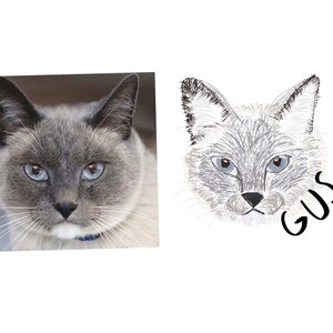 May include: A side-by-side comparison of a photo and a drawing of a gray and white cat with blue eyes. The drawing is labeled "Gus".