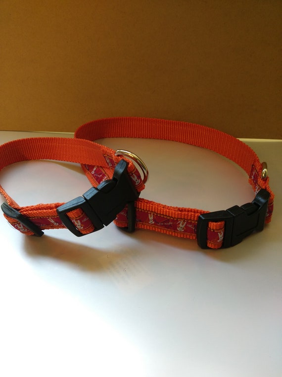 Trendy dog clearance accessories