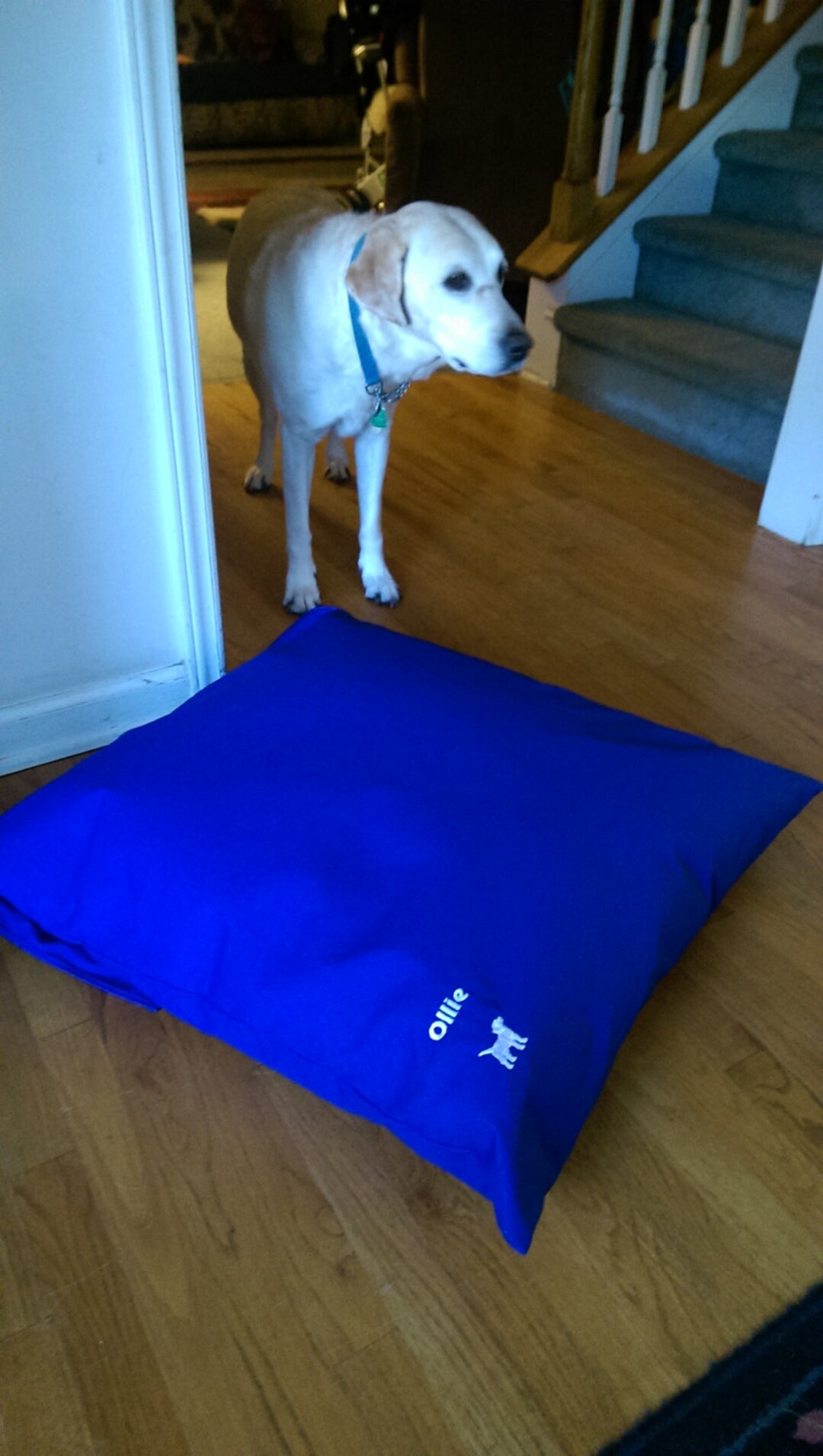Custom Large Dog Bed Made to Order Gift for Pet Lovers Custom Dog Bed