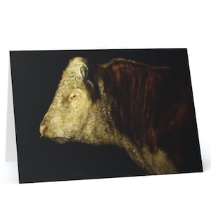 6 Hereford Stier Grußkarten, Grußkarten, Grußkarten, Originalgemälde, David Andrews, Kuhdruck, Hereford-Rinder, Stierkunst, Kuhkunst