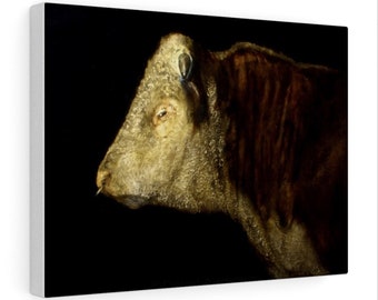 Hereford Bull, Cattle, Cow Art, Print, Original Painting, by David Andrews, Canvas Print, Poster, Cow Print, Hereford cattle, Bull Art, Cows