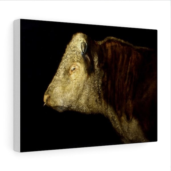 Hereford Bull, Cattle, Cow Art, Print, Original Painting, by David Andrews, Canvas Print, Poster, Cow Print, Hereford cattle, Bull Art, Cows