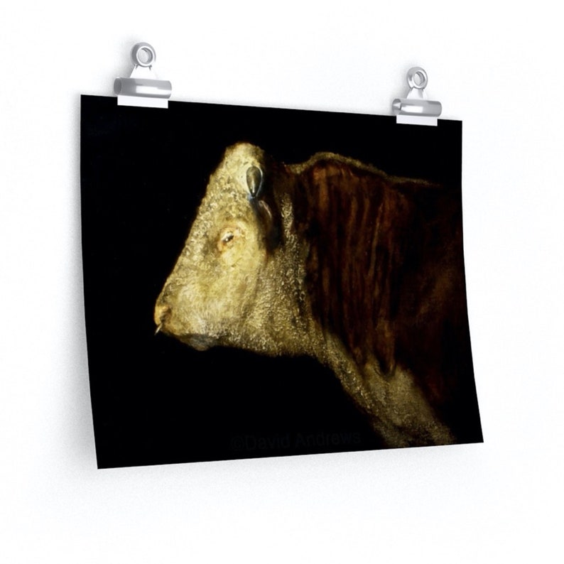 Hereford Bull, Cattle, Cow Art, Print, Original Painting, by David