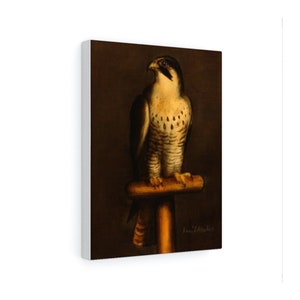 Falcon, Falconry, Bird Art, Print, Original Painting, by David Andrews, Canvas Print, Poster, Birds of Prey, Birds, Falconry Art, Falcon Art