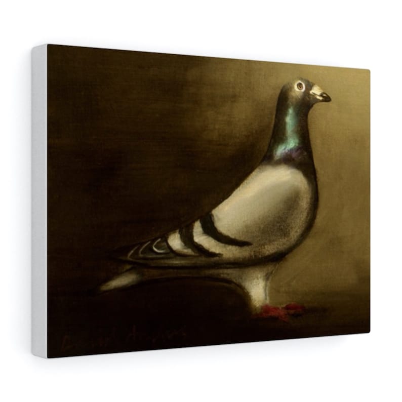 Racing Pigeon Bird Art Print From an Original Painting by Etsy UK