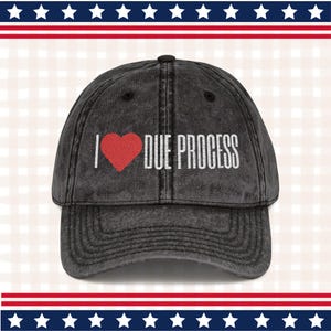 I Love Due Process Vintage Embroidered Hat, Pro Immigrant Social Justice Gift
