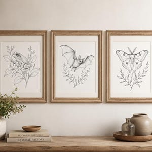May include: Three framed wall art prints featuring black and white line drawings of a frog on a branch, a flying bat above foliage, and a moth centered over leaves. Each print is housed in a light brown wooden frame with a white mat border.