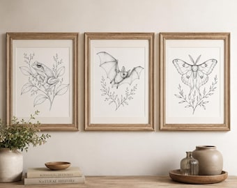 Frosch Fledermaus Nachtfalter Wandkunst Set – 3er Set Printable, Vintage Natur Poster, Digital Download, Galerie Wand Deko