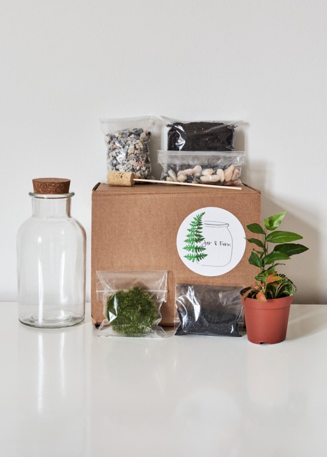 DIY 'Bottle Terrarium' Kit With instructional video Etsy