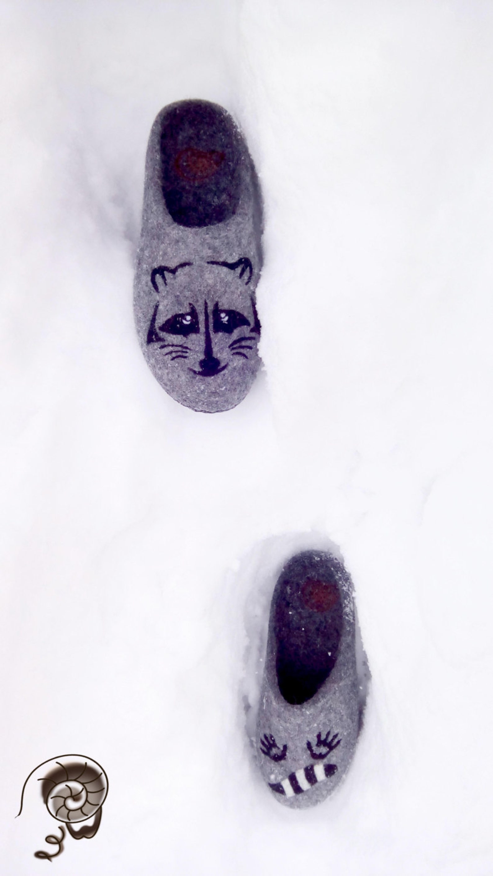 racoon slippers