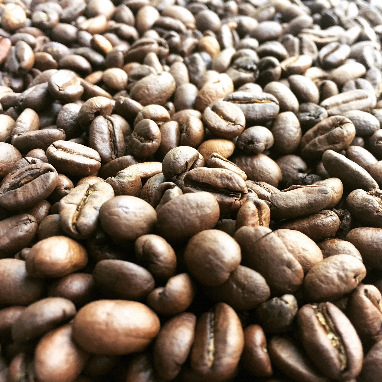 Colombia Single Origin Coffee Beans Freshly Roasted Whole Etsy
