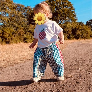May include: A white short-sleeved t-shirt featuring a red and white gingham apple appliqué on the chest, paired with loose-fitting trousers that have a blue, green, and white gingham pattern and a vertical red stripe along the side seams.