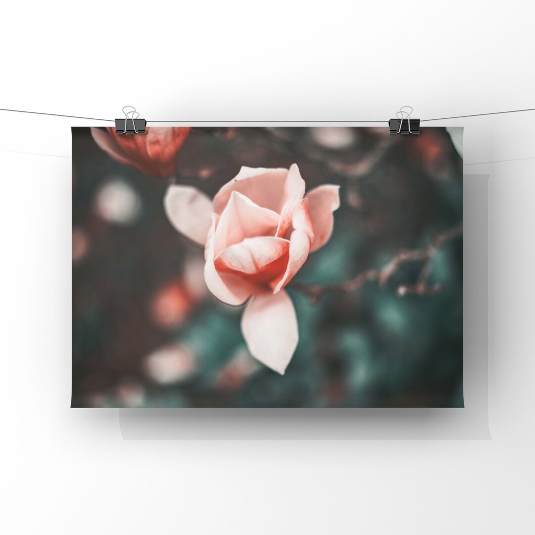 Magnolia Bloom in Gold Abstract Wall Art