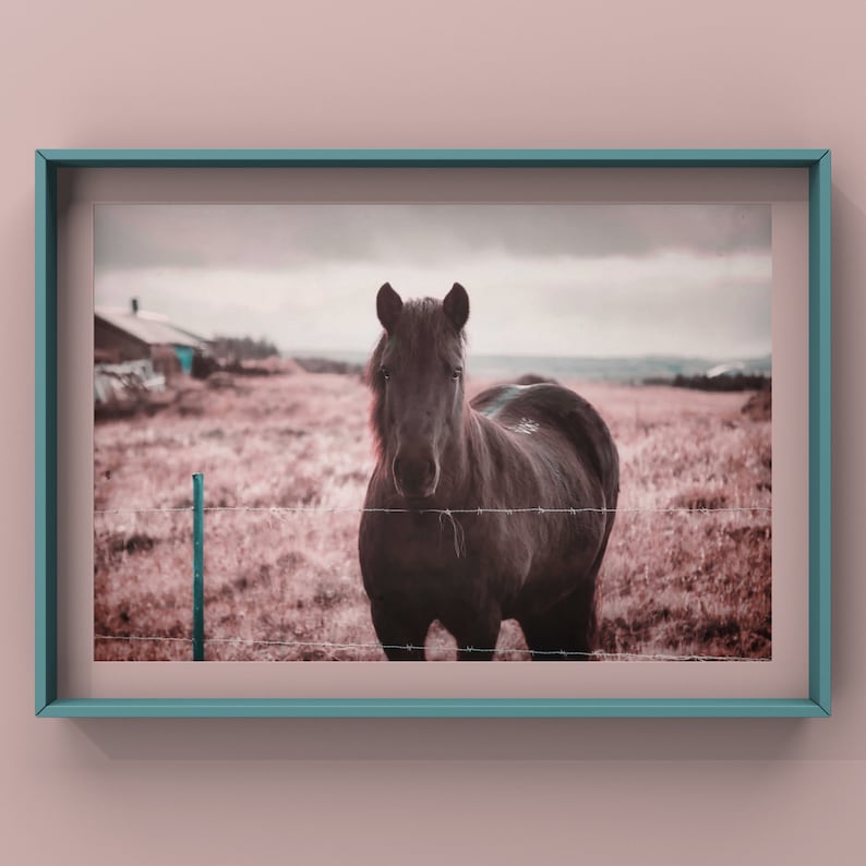 Horse Wall Art, Pink Wall Art Print, Iceland Nature Photography Pink Fields image 3