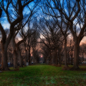 Impresión de Central Park, impresión de la ciudad de Nueva York, regalo de Nueva York, impresión de metal, arte de pared grande, fotografía de bellas artes, regalo de Eid - Central Park