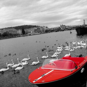 Prague Wall Art, Metal Print Wall Art, Czech Republic, Praha, Vltava River, Swans, Large Wall Art, Red, Decor, Metal - The Boat in the River