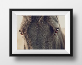 Horse Art Print, Horse Decor, Iceland Nature Photography, Icelandic Horse Art, Animal modern print, Fine Art Photography - Soul