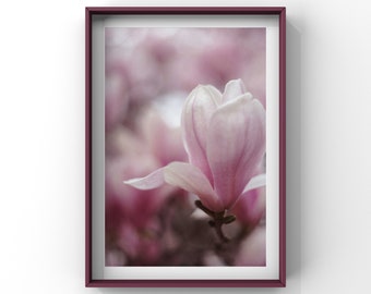 Flower Photograph, Minimalist Floral Art Print, Nature Photography, Fine Art Photography Print, Magnolia Flowers, Pink Wall Decor - Magnolia