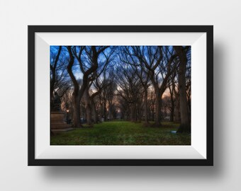 Central Park Print, NYC Print, New York Gift, New York City, Large Wall Art Print, Christmas Gift, Fine Art Photography - Central Park