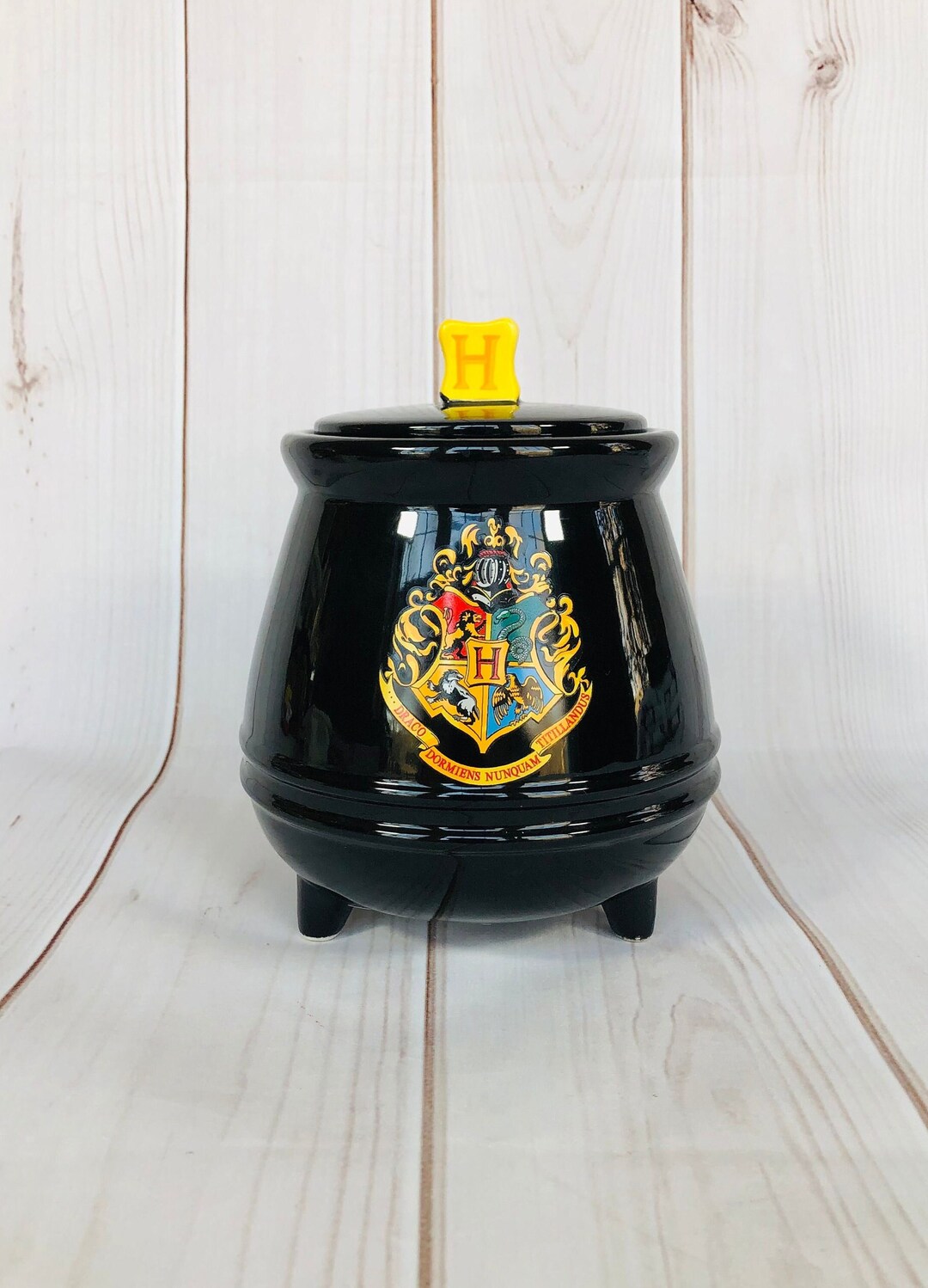 Harry Potter Hogwarts House Crest Cauldron Sculpted 3D Snack Jar Silver ...