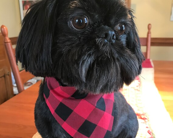 Slip on Collar Dog Bandana, Slide on Collar Bandana, Pet Accessory, Red Buffalo Check, Pet Accessories, Dog Bandana, Collar Bandana