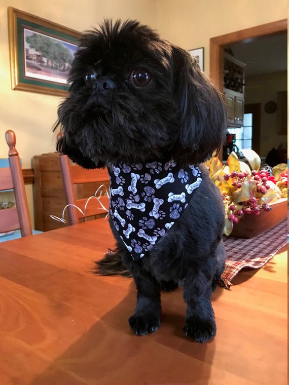 Bones Dog Bandana, Slide on Collar Bandana, Pet Accessory, Black and Gray Bones and Paws