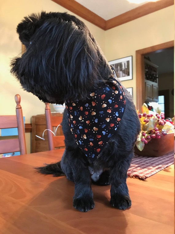 Paws Dog Bandana, Slide on Collar Bandana, Pet Accessory, Paws on Black