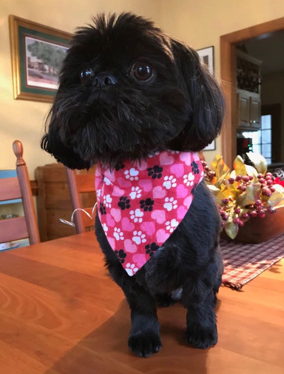 Pink Flannel Dog Bandana, Slide on Collar Bandana, Pet Accessory, Pink Flannel with Hearts and Paws