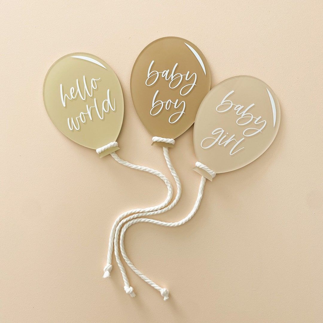 Birth Announcement Plaque | Acrylic Balloon Hello World Sign | He's ...