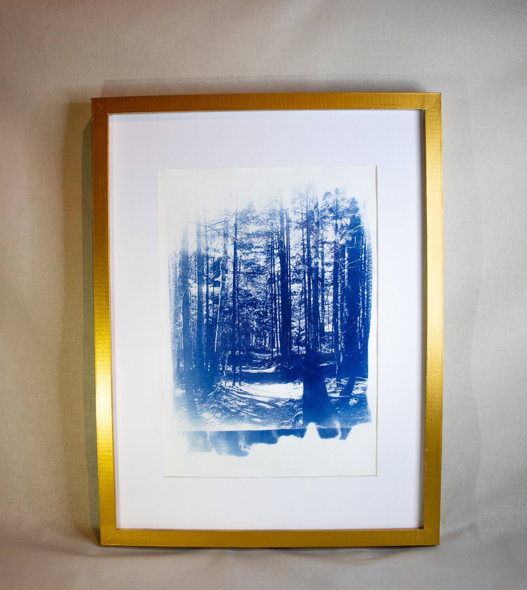 Cyanotype Foret Canada