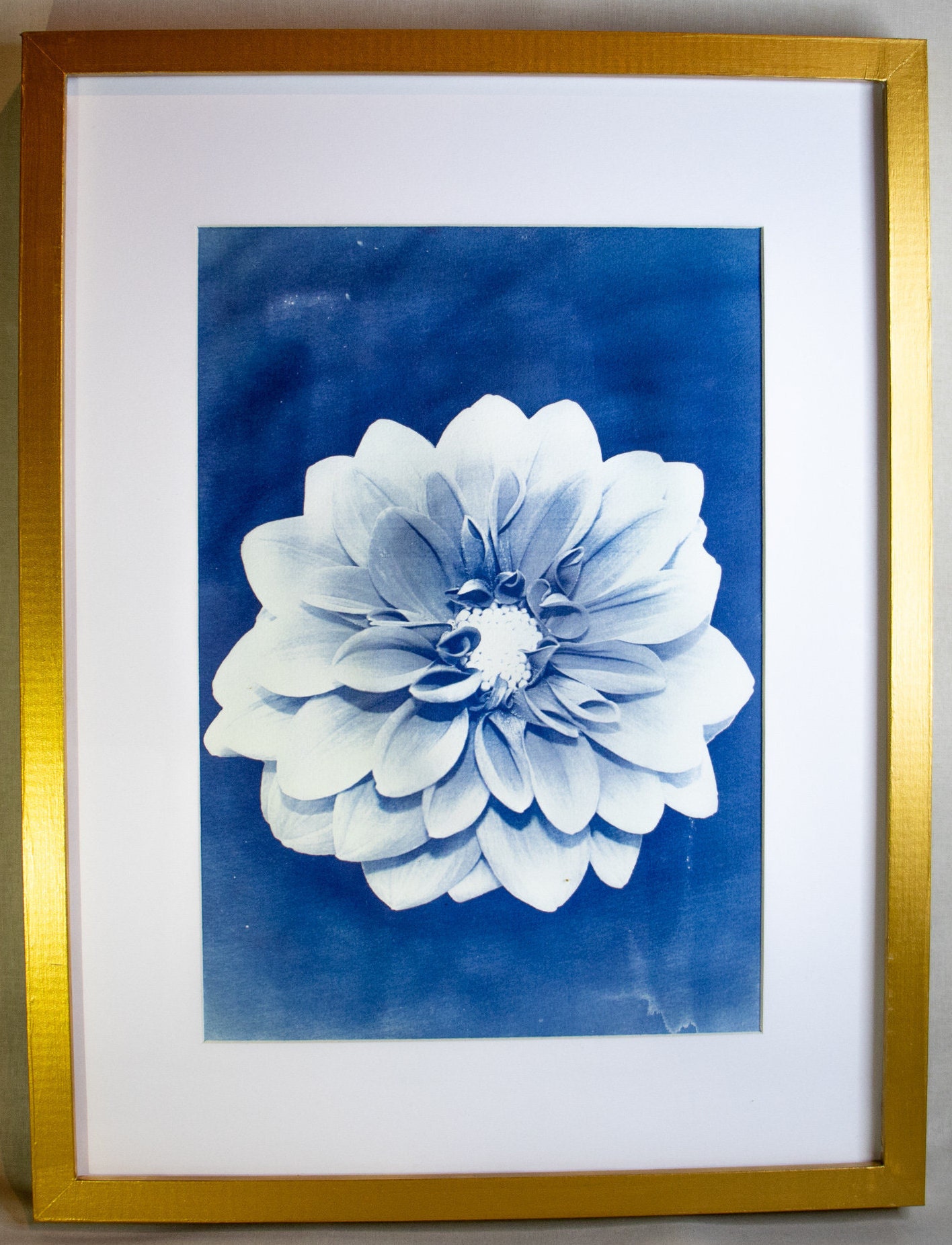 Cyanotype Fleur