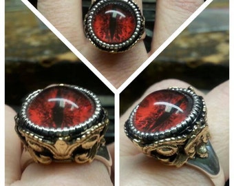 Eye of the Beast Steampunk Sterling Silver  Ring with Antique Brass Stampings