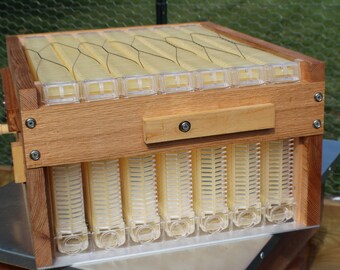 DIY Beehive Plans Langstroth 10-Frame Beekeeping DIY Bee