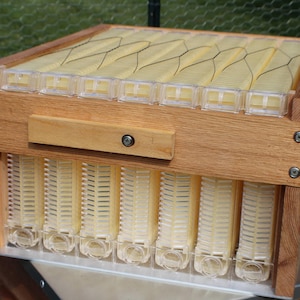 May include: A wooden beehive box with a clear plastic frame containing a honeycomb structure. The box is made of light brown wood and has a small wooden handle on the front.