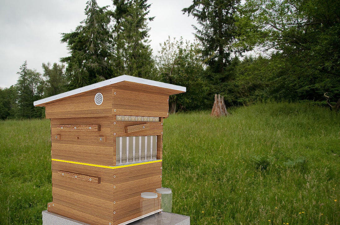 DIY FLOW Beehive Box Plans Langstroth 10-Frame Beekeeping 
