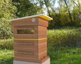 Plans de ruche bricolage - Langstroth 10-Frame - Manuel d'instructions de l'apiculture DIY Bee Hive