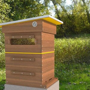 DIY Beehive Plans - Langstroth 10-Frame - Beekeeping DIY Bee Hive Instruction Manual