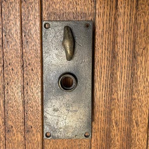 May include: A rectangular, antique brass door plate with a decorative handle and keyhole. The plate is mounted on a wooden door with vertical planks. The handle is a unique, organic shape.