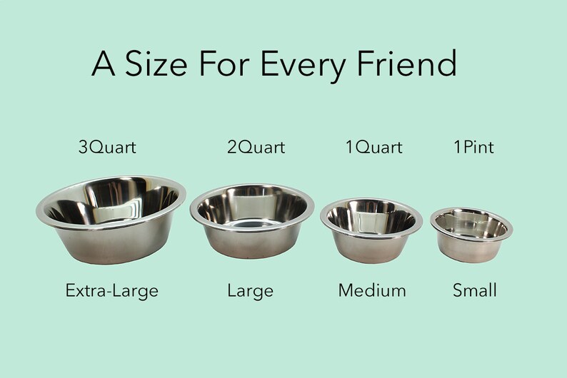Raised Pet Feeder The Woody