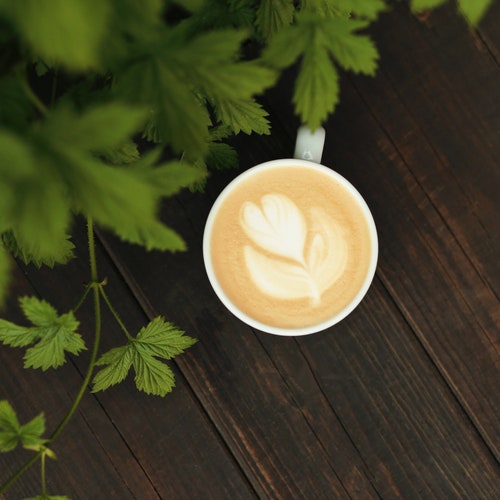 CARAMEL COFFEE Perfume Oil Body Spray Fragrance Oil Solid Etsy