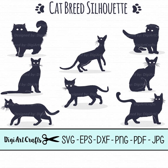 Download Cat Breed Silhouettes Svg Cutting Files Dyi Kitten Vectors Etsy Yellowimages Mockups